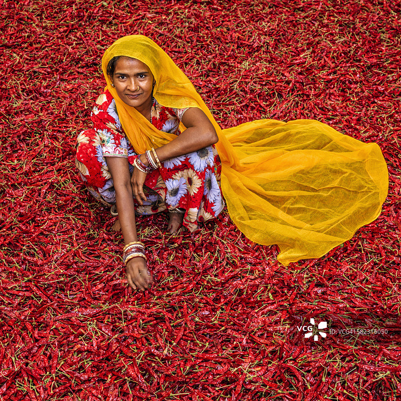 印度焦特布尔，分拣红色辣椒的年轻印度妇女图片素材
