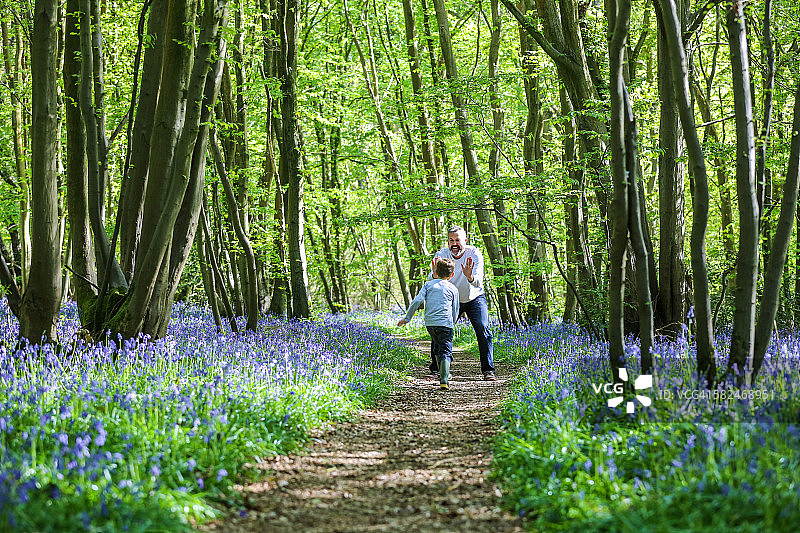 父子在风铃木林中玩耍图片素材