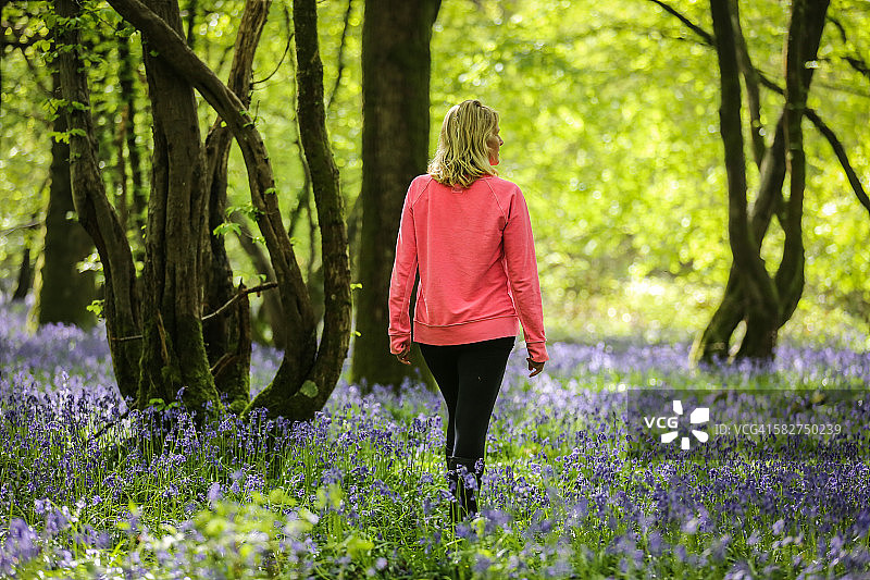 在风铃木树林中散步的女人图片素材