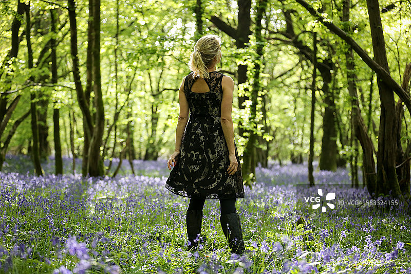 站在风铃木林中的女士图片素材