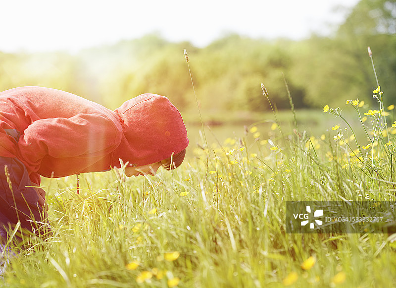 穿红色连帽衫的男孩在户外看花图片素材