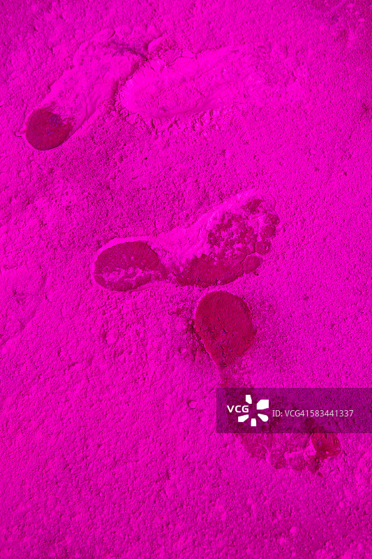 粉色的脚图片素材