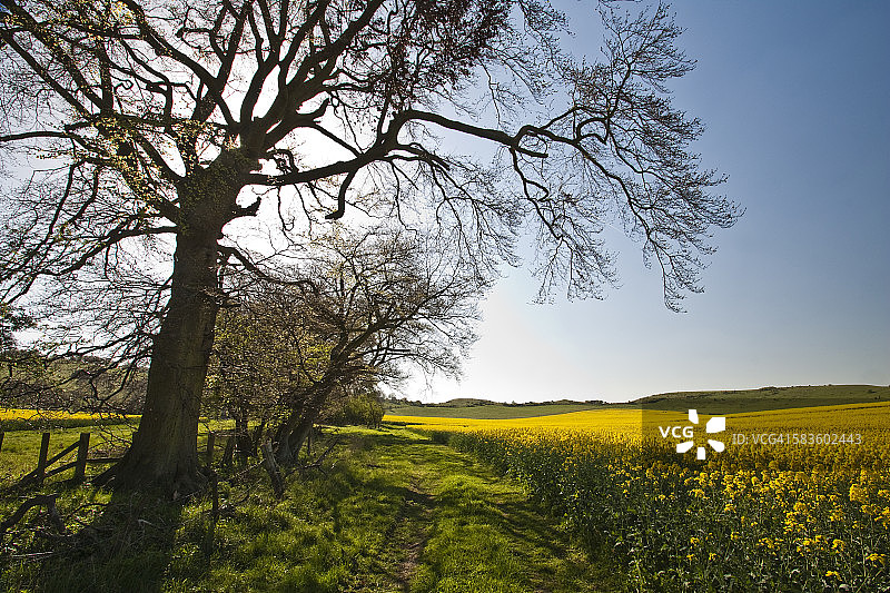伊温荷烽火台图片素材