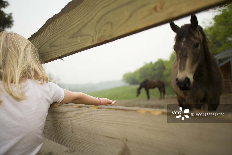 伸手去够马的女孩图片素材