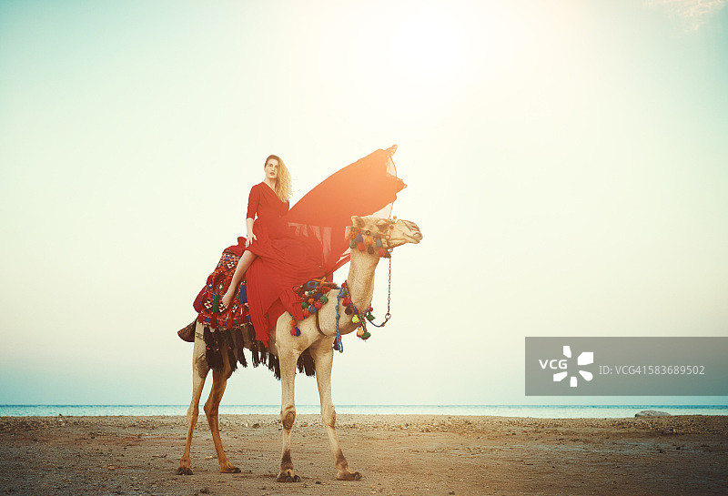 异域风情骆驼骑行图片素材