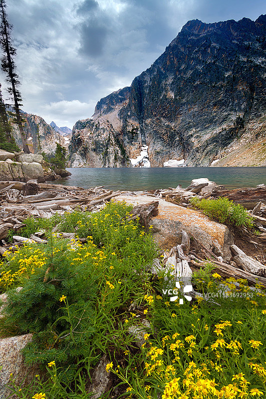 爱达荷州锯齿山脉的山羊湖野花图片素材