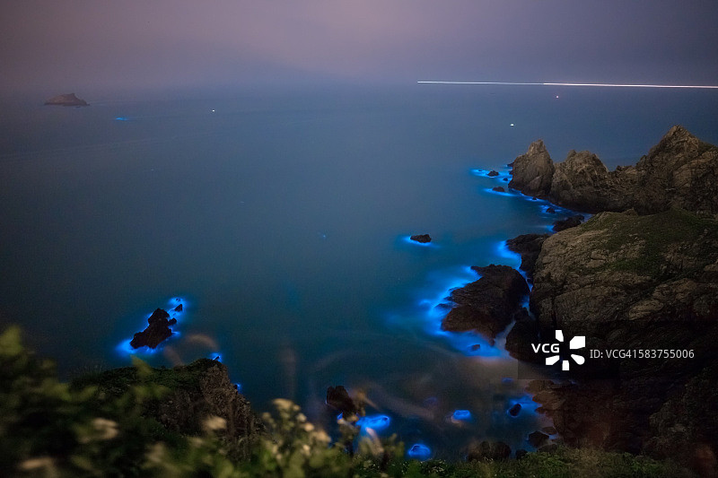 蓝眼泪生物发光藻图片素材