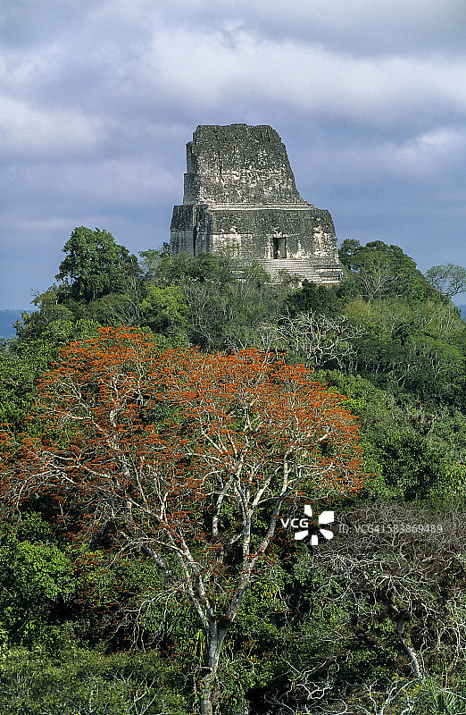 蒂卡尔玛雅神庙IV，位于热带雨林中图片素材