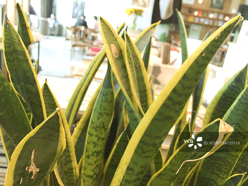 咖啡博物馆休闲时光图片素材