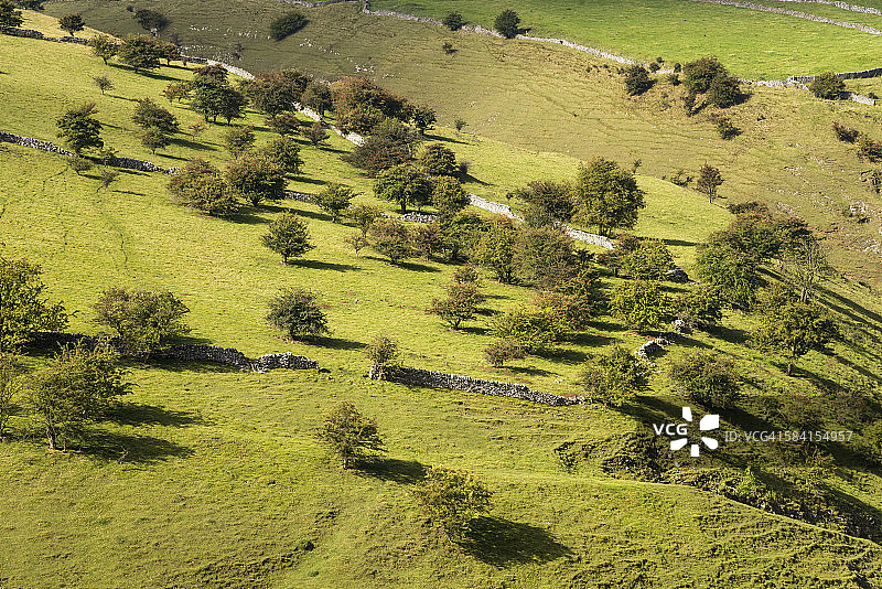 克雷斯布鲁克山谷的山楂树图片素材