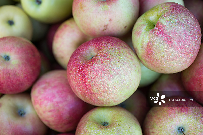 有机水果摊上的新鲜苹果图片素材