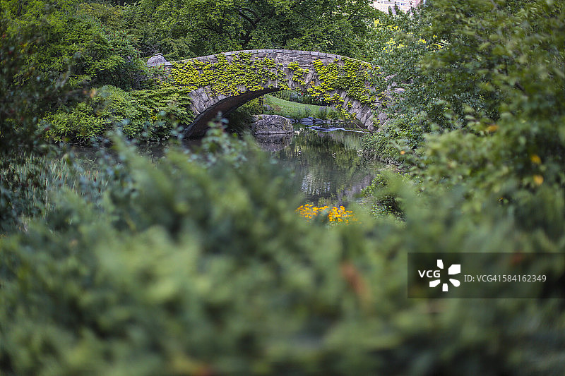 中央公园盖普斯托桥图片素材