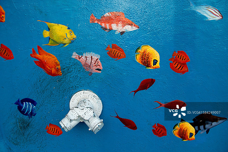 旧金山的彩绘红鱼和蓝色墙壁图片素材