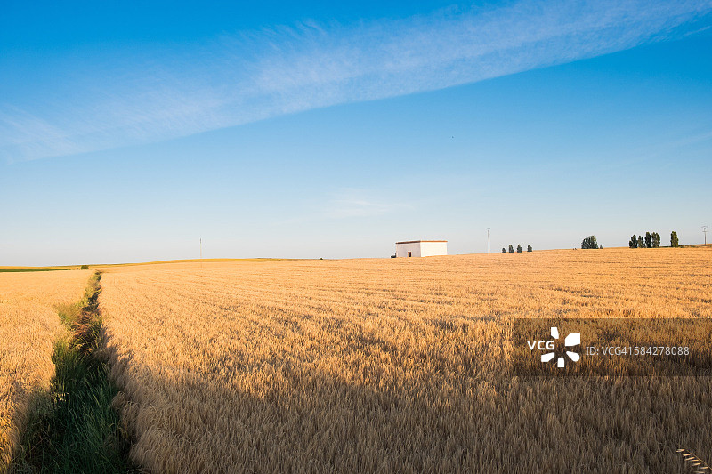 通往田野的小路图片素材