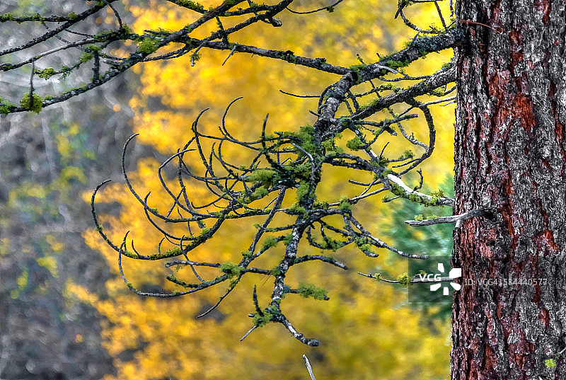 黄色墙壁图片素材