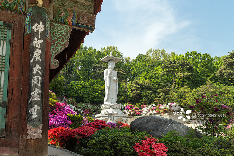 首尔奉恩寺的茂盛植被和佛像图片素材