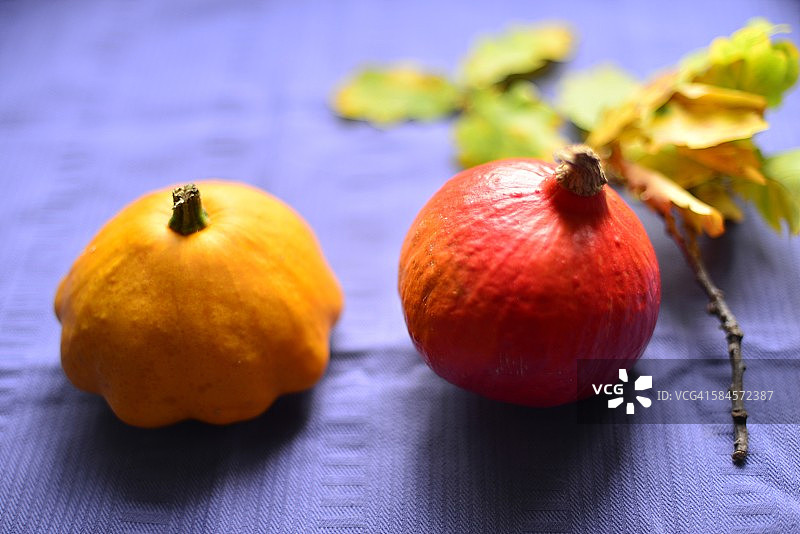 碟瓜和北海道南瓜图片素材