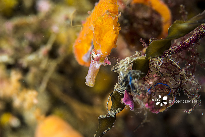 倦怠的下午图片素材