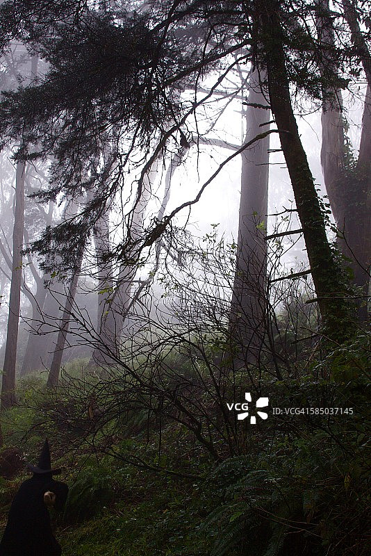 角落里的女巫图片素材