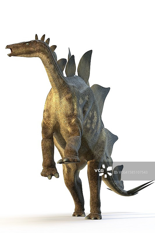 剑龙恐龙插画图片素材