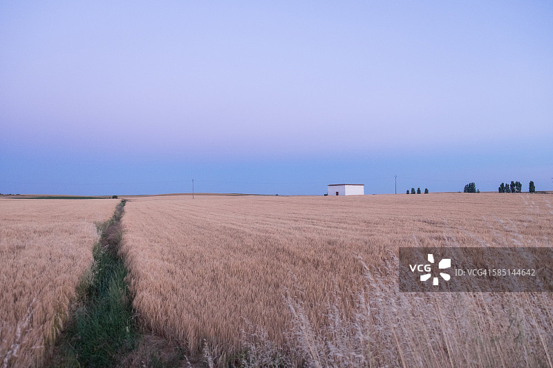 坎波斯地区日出之前图片素材