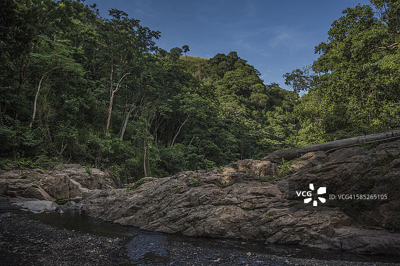亚马逊雨林图片素材