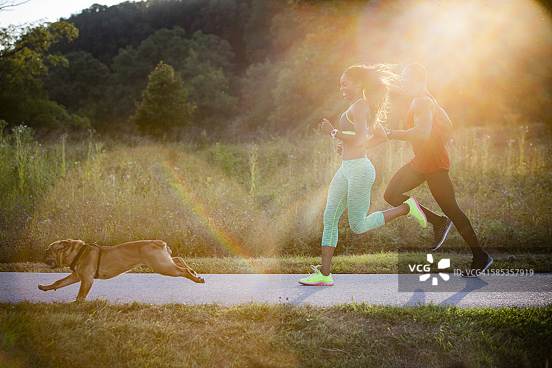 年轻夫妇和狗在阳光明媚的公园里奔跑图片素材