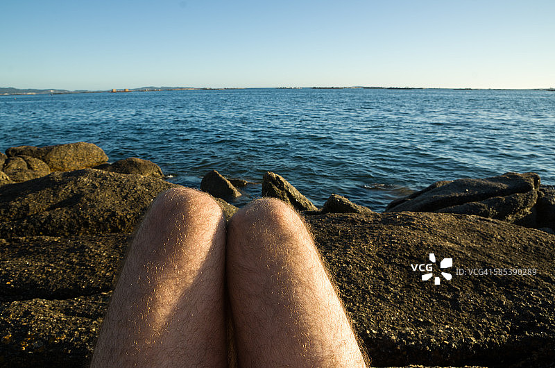 热狗腿图片素材