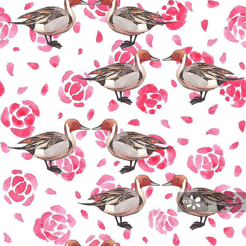 玫瑰与针尾鸭无缝图案图片素材