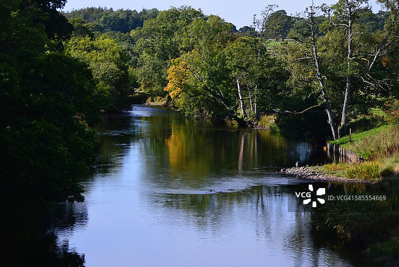 河边的慵懒时光图片素材