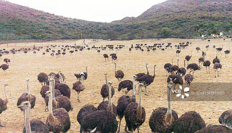 奥茨胡恩图片素材