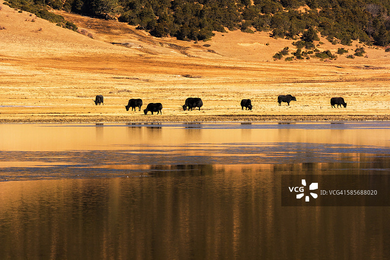 属都湖图片素材