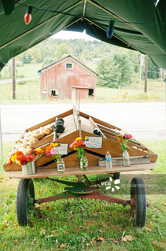 路边花园摊位图片素材
