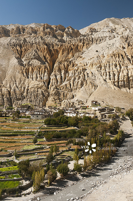 卡利甘达基河沿岸的荞麦田图片素材