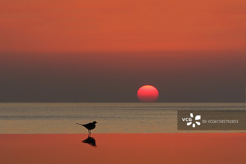 希腊卡尔帕索斯岛皮加迪亚酒店泳池的日出图片素材