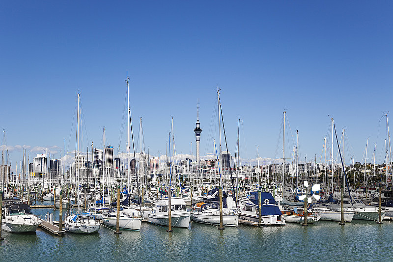 新西兰奥克兰韦斯特黑文船港城市天际线与天空塔背景中央商务区图片素材