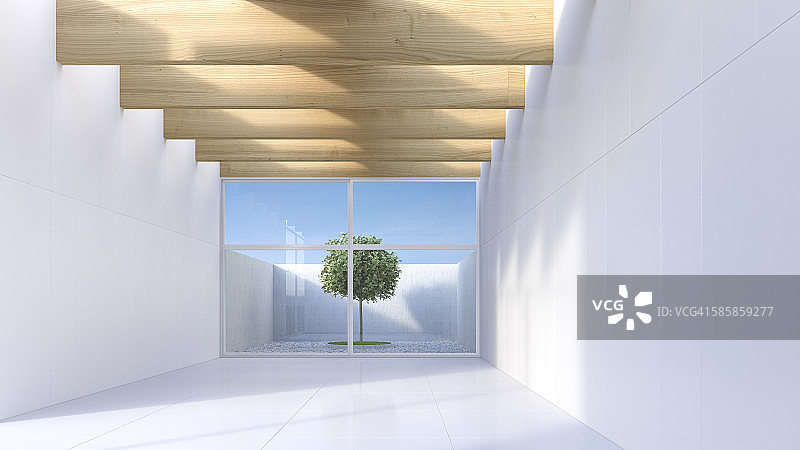 透过白色大厅看到的庭院中的一棵树，3D渲染图片素材