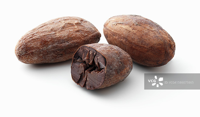 白色背景上的两颗半可可豆图片素材