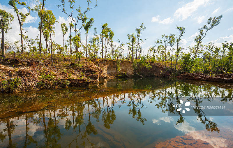 阿纳姆地区的灌木丛林图片素材