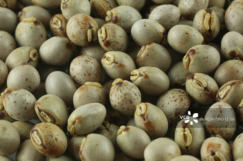 黑色鹰嘴豆图片素材