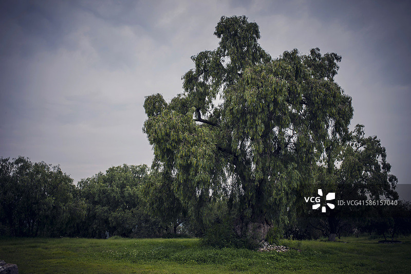 伊达尔戈州的图拉图片素材