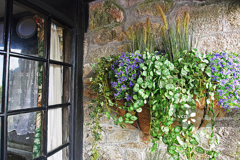 悬挂的花篮图片素材