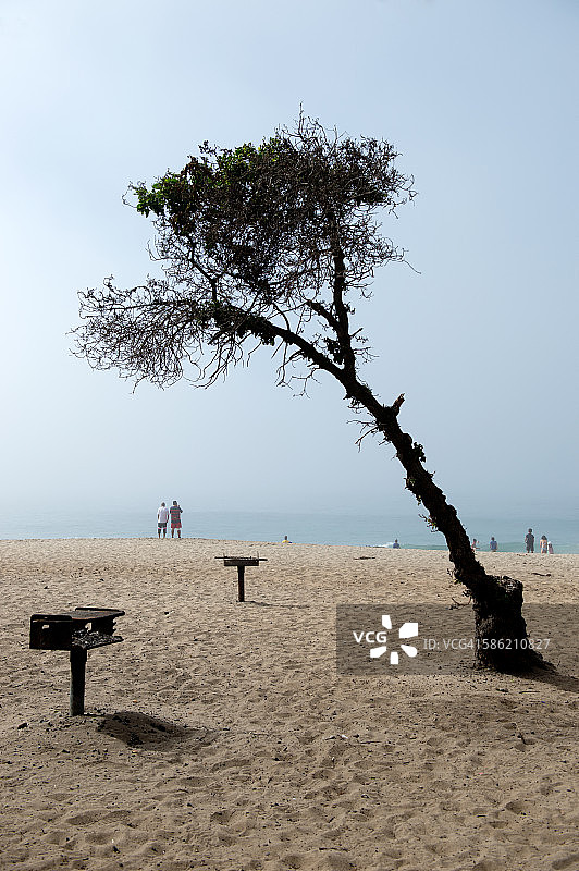 加利福尼亚穆古角海滩的树木与人们图片素材