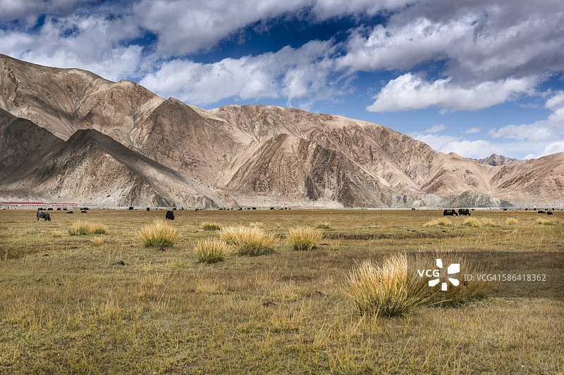 红其拉甫口岸美丽风光图片素材