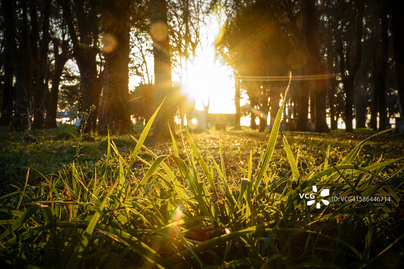 日落时分的草坪概览图片素材