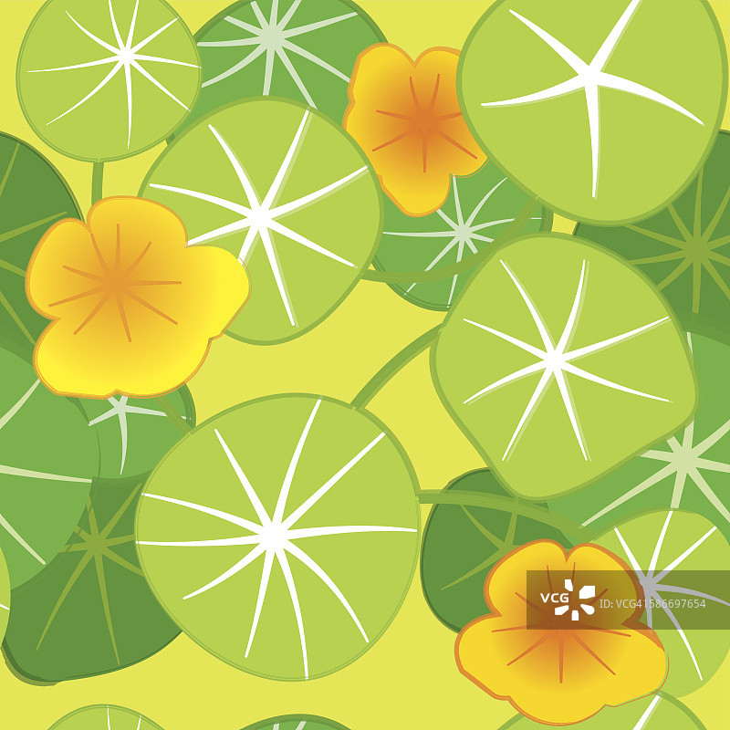 旱金莲重复图案图片素材