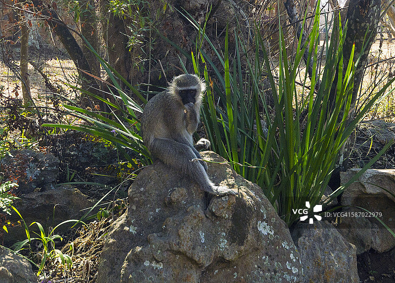 布莱德河峡谷公园图片素材