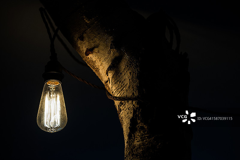 银桦树上的复古灯图片素材