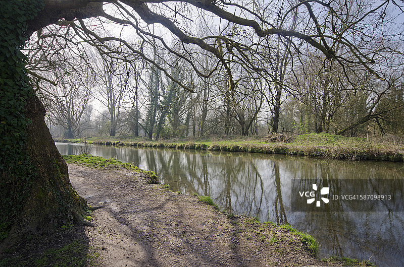 伊琴河畔的树木图片素材