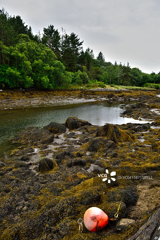 爱尔兰科克郡格兰加里夫海滨风光图片素材
